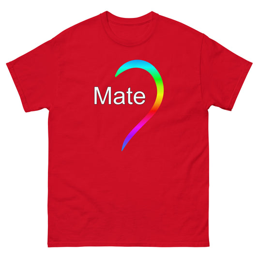 HEART RAINBOW - MATE TEE- Unisex