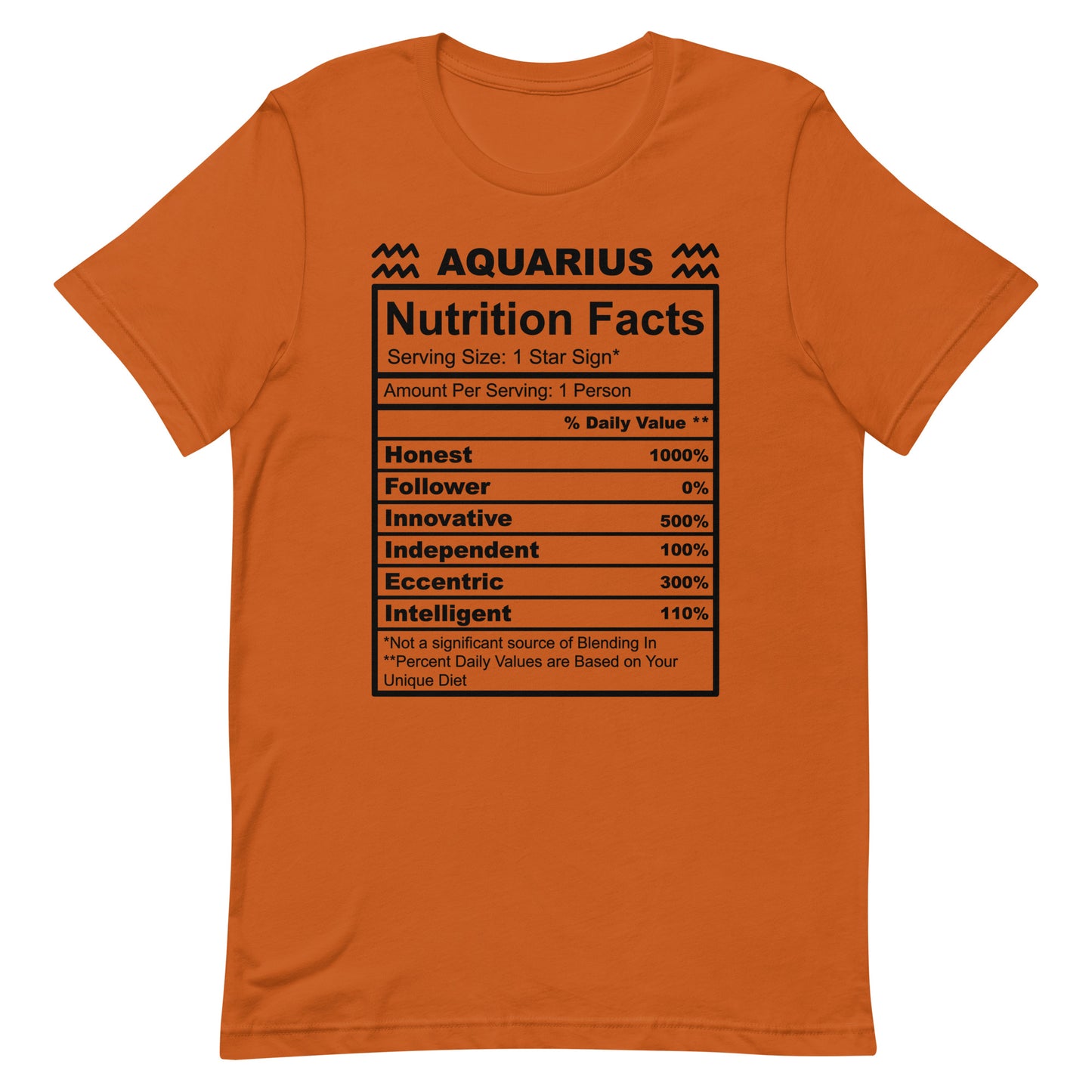 AQUARIUS - S-M - Unisex T-Shirt (black letters)