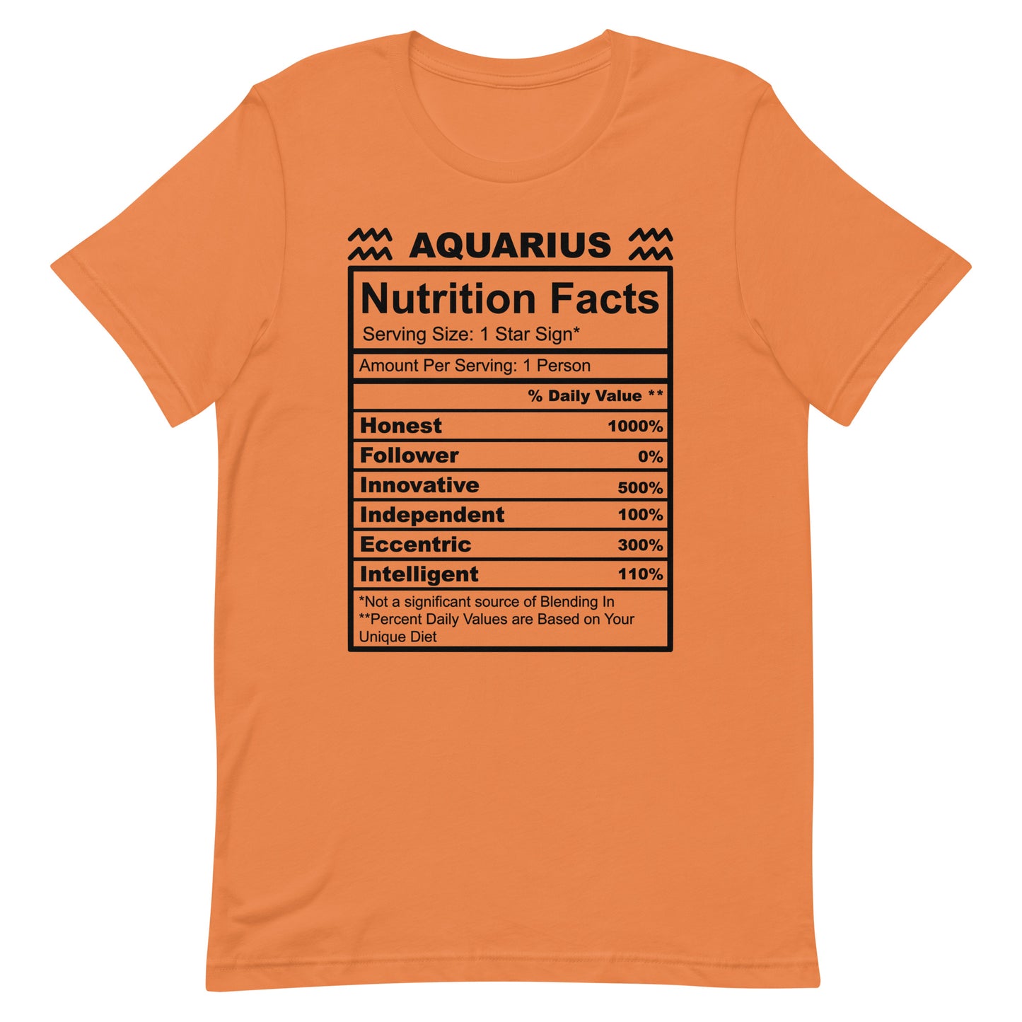 AQUARIUS - 2XL-3XL - Unisex T-Shirt (black letters)
