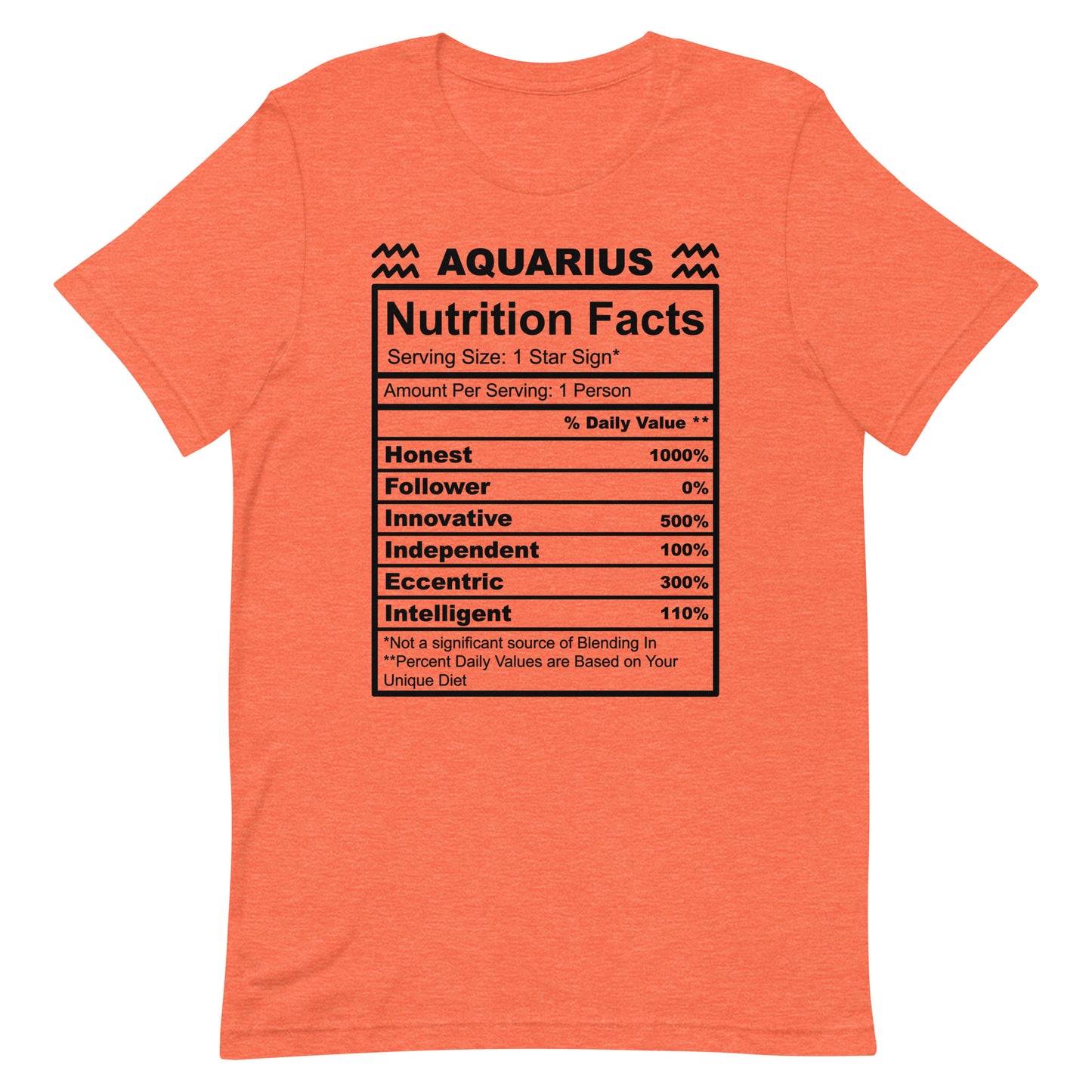 AQUARIUS - 4XL-5XL - Unisex T-Shirt (black letters)