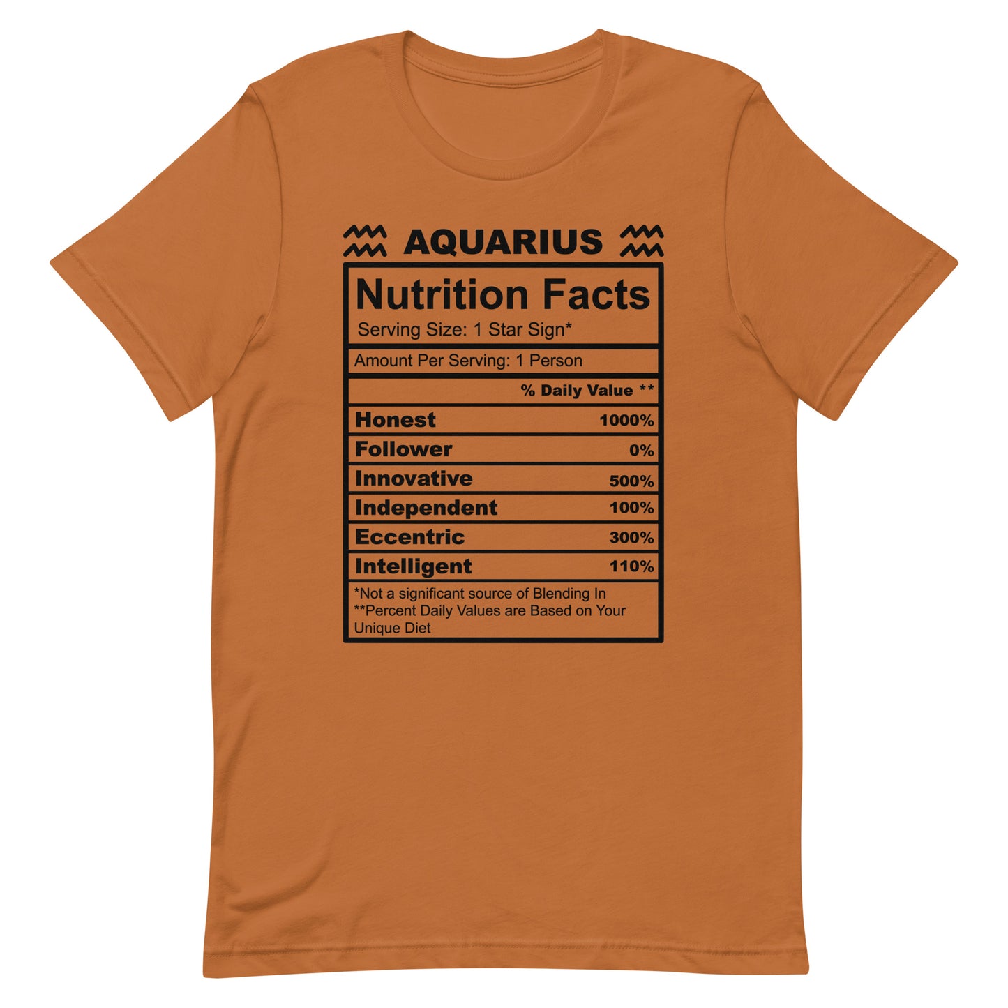 AQUARIUS - S-M - Unisex T-Shirt (black letters)